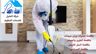 مكافحة حشرات بالرياض