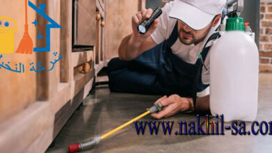 شركة مكافحة حشرات بحى العليا بالرياض