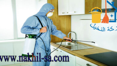 شركة مكافحة حشرات بحى الملز بالرياض