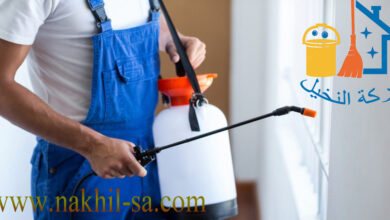 شركة مكافحة حشرات بحى النخيل