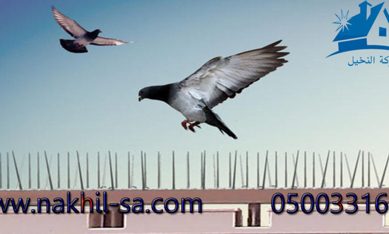 شركة تركيب طارد الحمام بالرياض