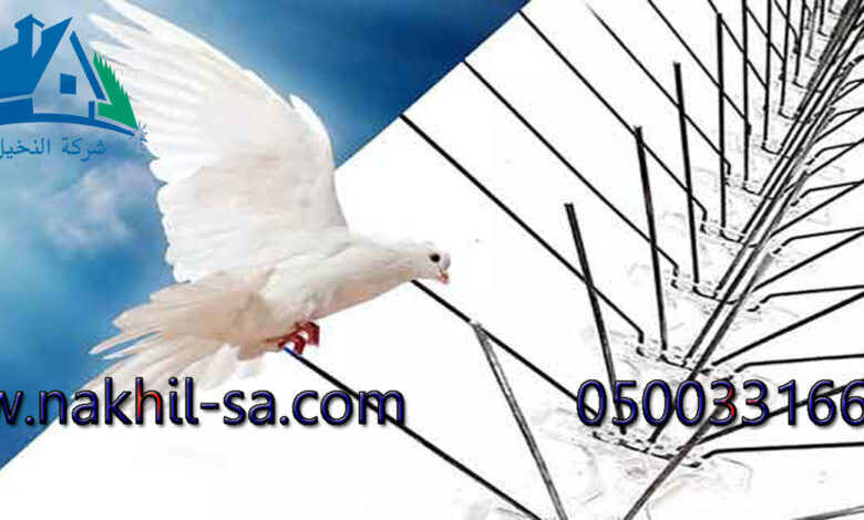 شركة تركيب طارد حمام فى الرياض