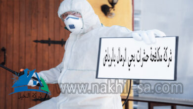 شركة مكافحة حشرات بحي الرمال بالرياض