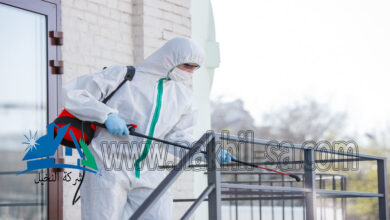 شركة مكافحة حشرات بحي القادسية بالرياض