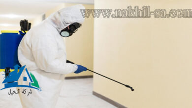 افضل شركة مكافحة صراصير بالرياض