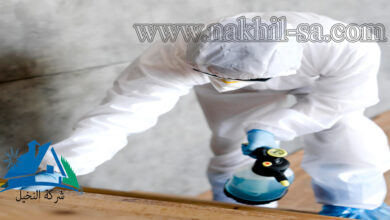 خدمة شركة مكافحة حشرات بالرياض