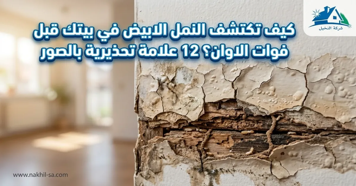 سطح باب خشبي يظهر فقاعات وتقشر طلاء في جزء سفلي قريب من الأرض.