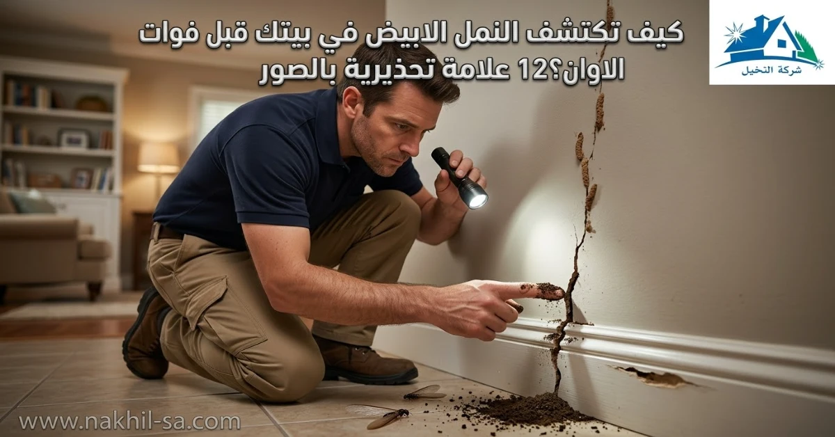 شق في إطار خشبي وبداخله مادة ترابية متماسكة قرب الأرض.