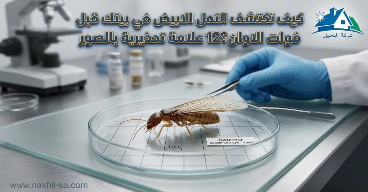 حشرة مجنحة صغيرة مصورة عن قرب لإظهار الأجنحة والخصر.