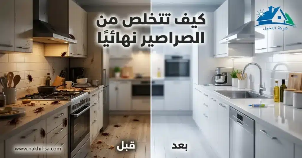 كيف اتخلص من الصراصير